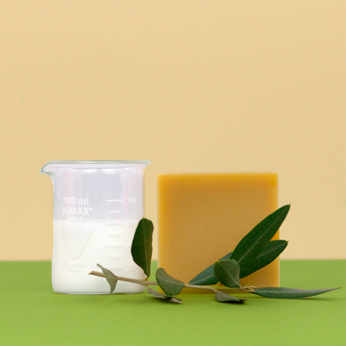 B2B - Sapone Biologico Latte d'Asina