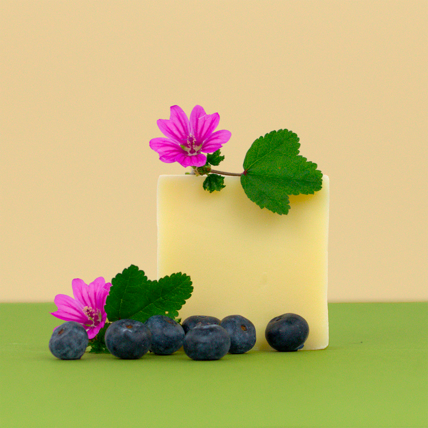 B2B - Sapone Biologico Mirtillo e Malva