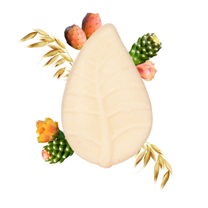 B2B - Shampoo Solido Avena e Fico d'India