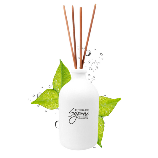 B2B - Diffusore di fragranza bio Rugiada
