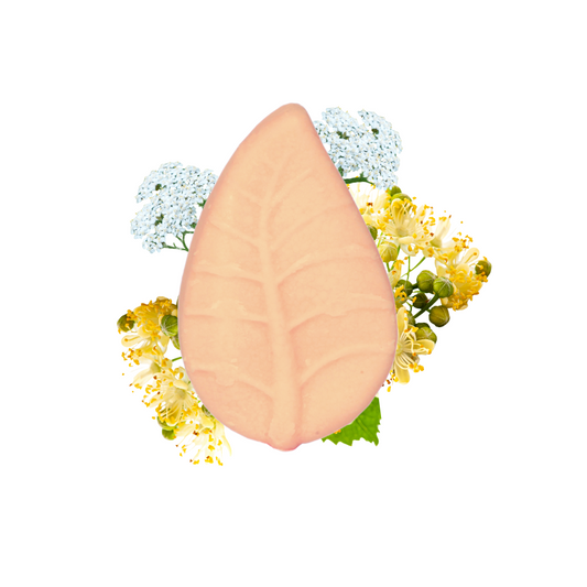 B2B - Shampoo Solido Tiglio e Achillea