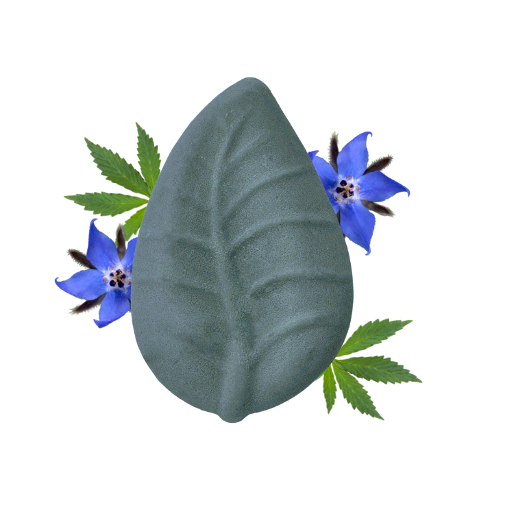 B2B -  Balsamo Solido Borragine e Canapa