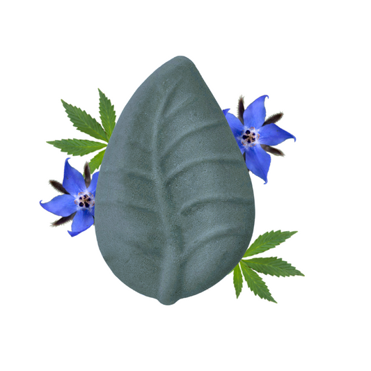 B2B -  Balsamo Solido Borragine e Canapa