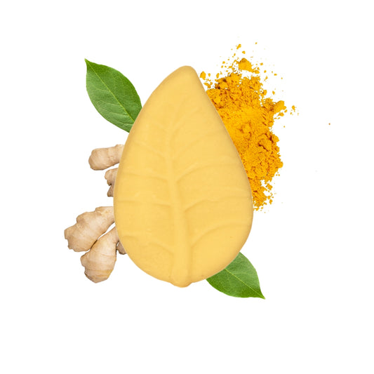 B2B -  Shampoo Solido Curcuma e Zenzero